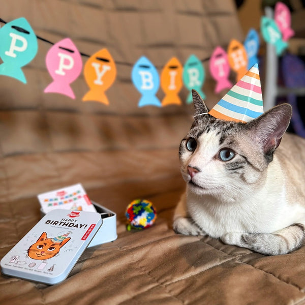 Kikkerland Kiko Cat Happy Birthday Kit
