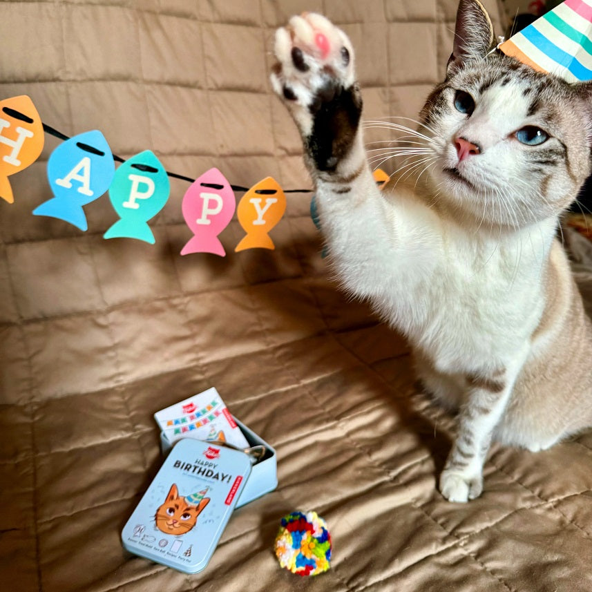 Kikkerland Kiko Cat Happy Birthday Kit
