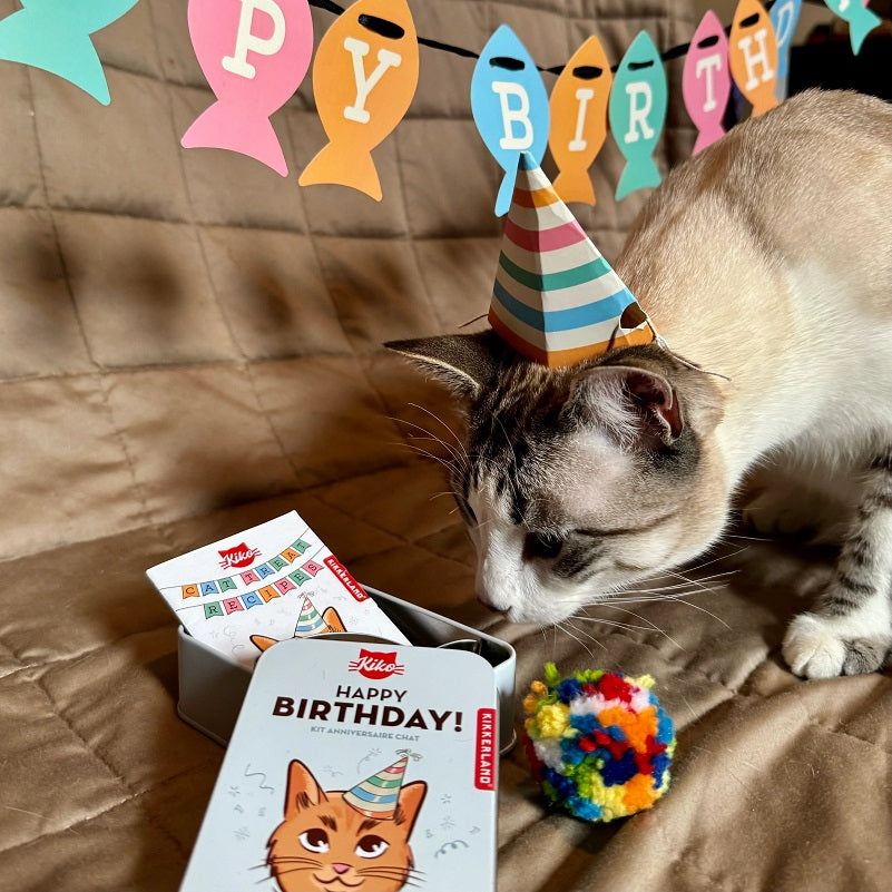 Kikkerland Kiko Cat Happy Birthday Kit