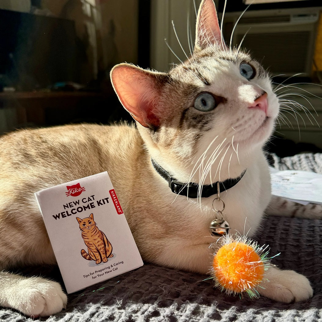 Kikkerland Kiko New Cat Welcome Kit