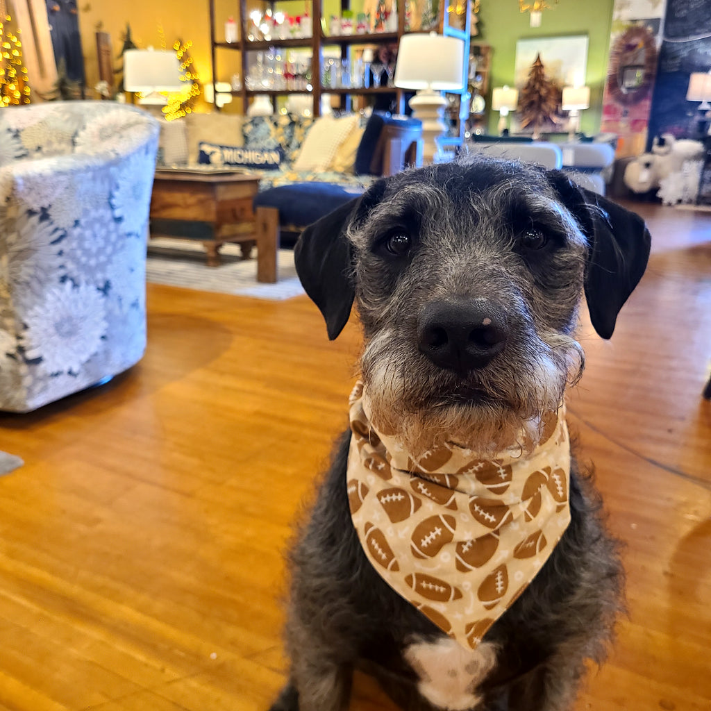 Dog Bandana: Mac's Favorite Thing