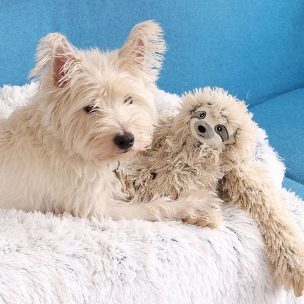 Rope Body Sloth Tug Toy