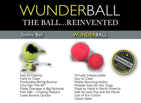 Wunderball Best Fetch Toy