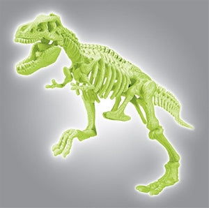 Glow T-Rex Skeleton Kit