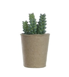 Faux Succulent in Pot: Assorted Styles