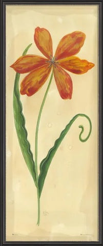 Early Red Flamed Tulip Framed Wall Art