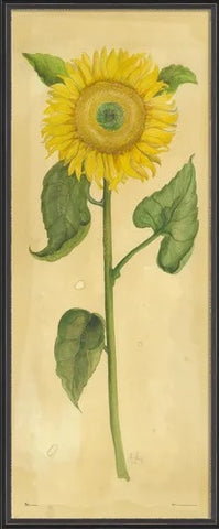 Sunflower Framed Wall Art