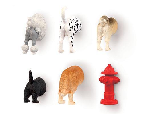 Dog Butt Magnets Set of 6 - Leon & Lulu - Shop Now