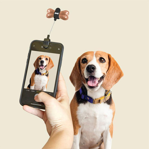 Dog Treat Selfie Clip - Leon & Lulu - Shop Now