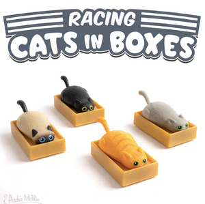 Racing Cat In Box