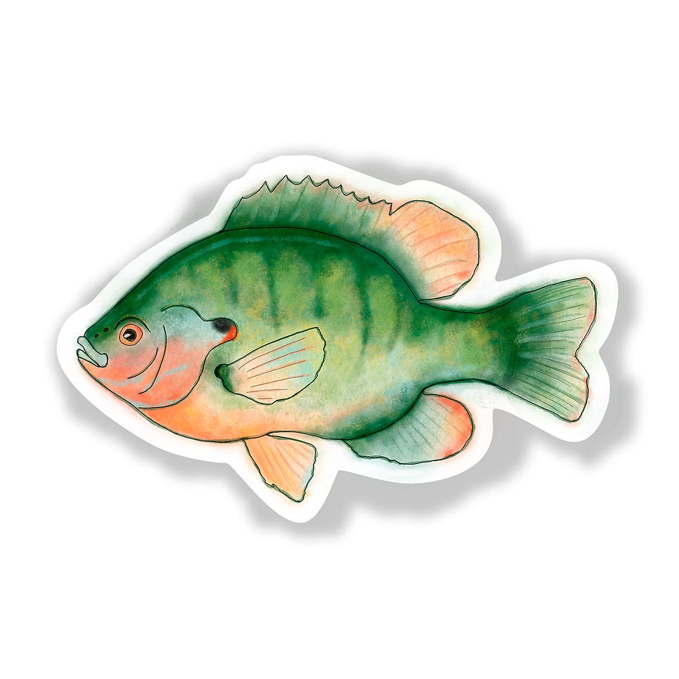 Sunfish Sticker
