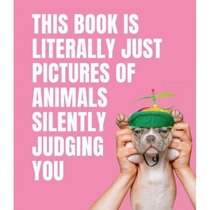 Pictures Animals Judging You