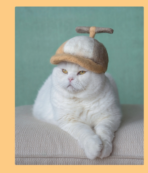 Cat-Hair Hats For Cats