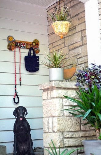 Furever Friends Dog Leash Rack