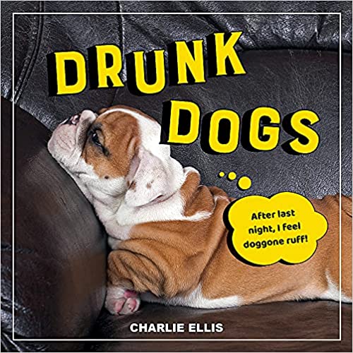 Drunk Dogs: Hilarious Pics of Plastered Pups