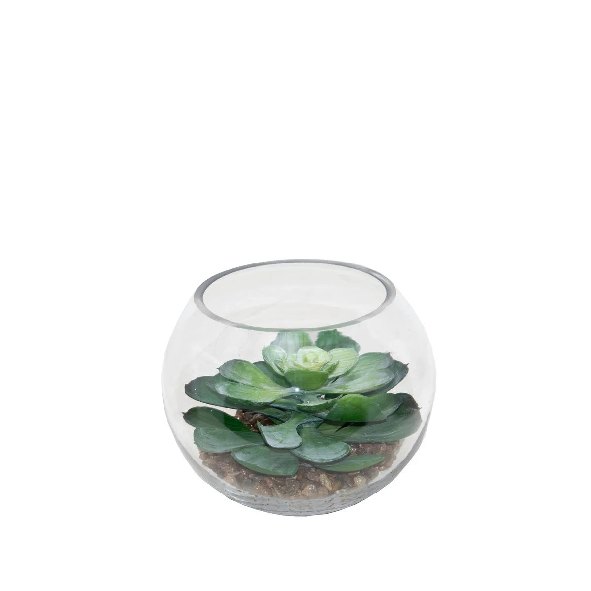 Glass Orb with Crassula Succulent and Pebbles