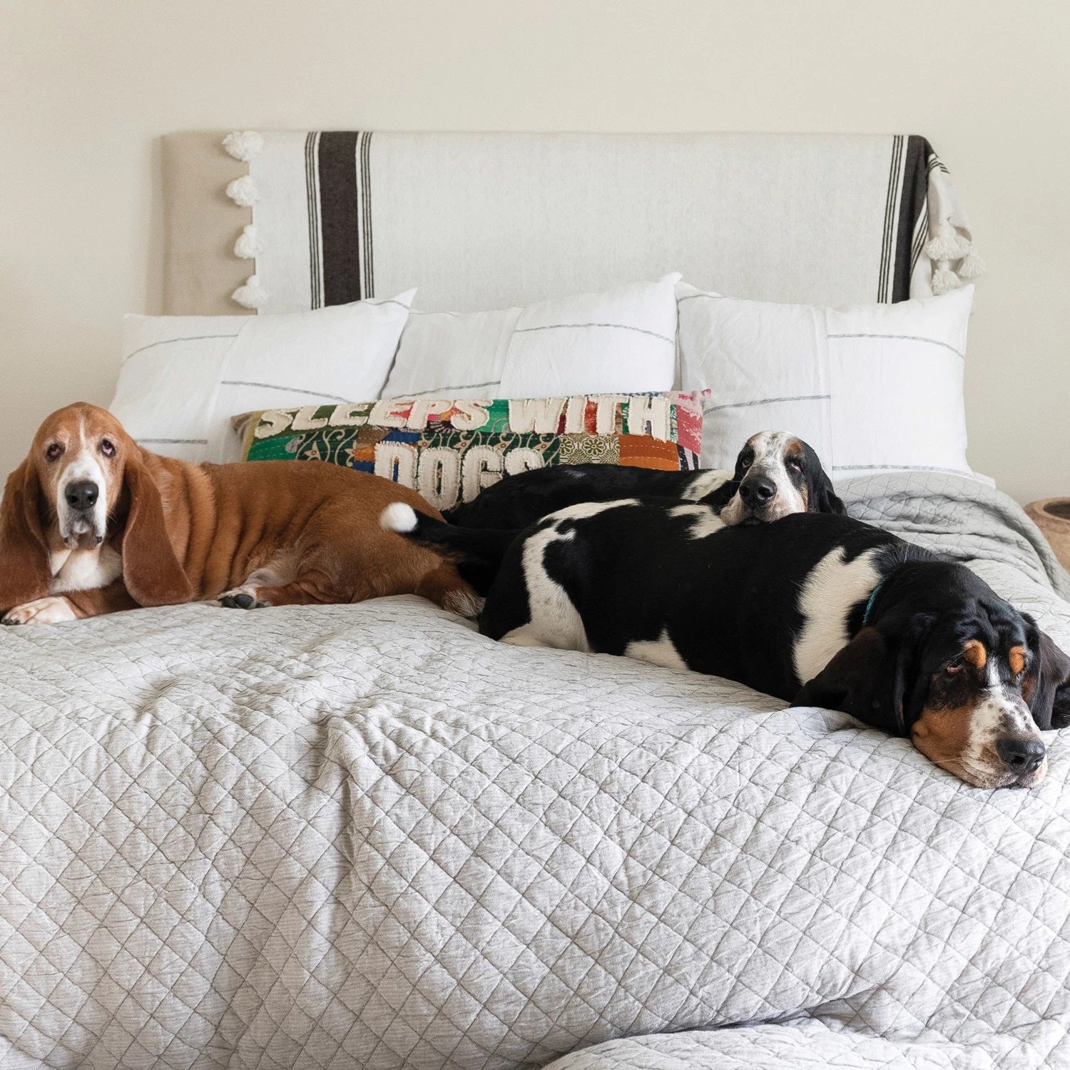 "Sleeps With Dogs" Vintage Kantha Patchwork Pillow