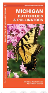 Michigan Butterflies/Pollinato - Leon & Lulu - Shop Now