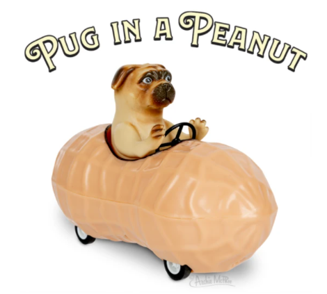 Racing Pug in Peanut